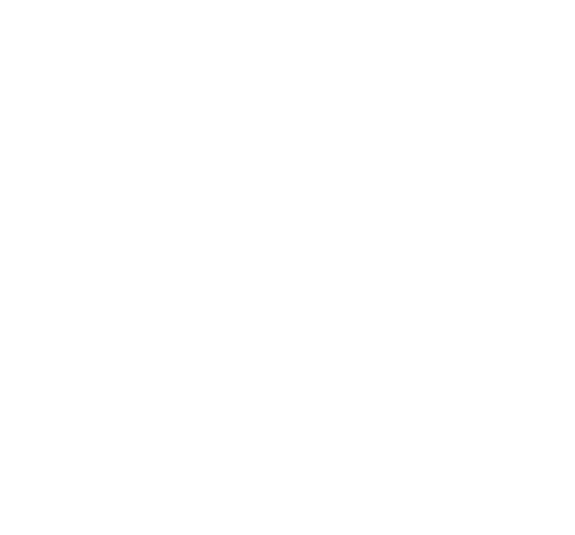 Gordon Institute of Business Science