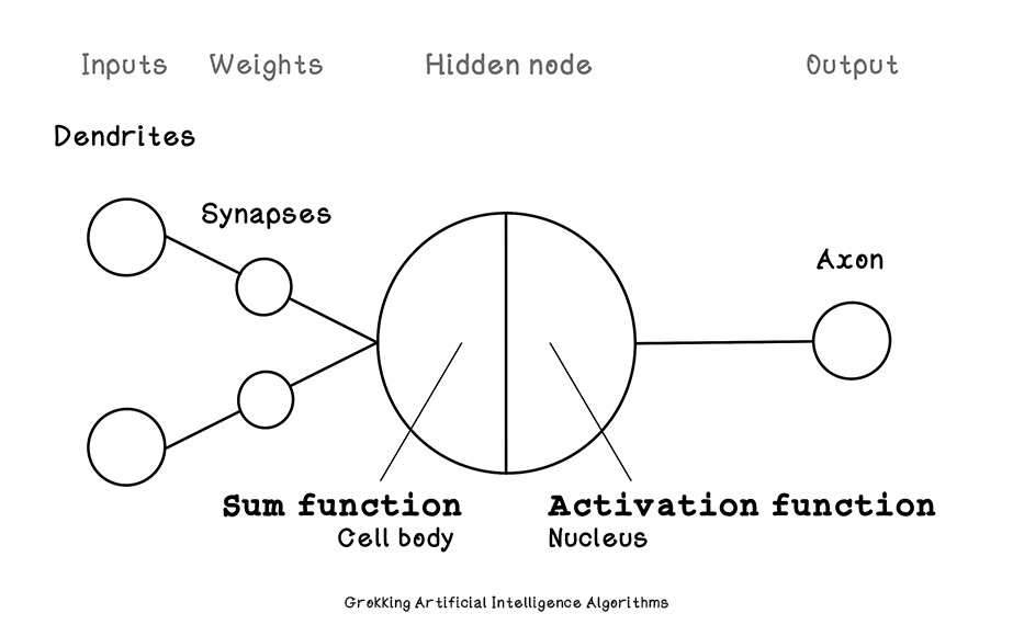 Intuition of neurons in artificial neural networks